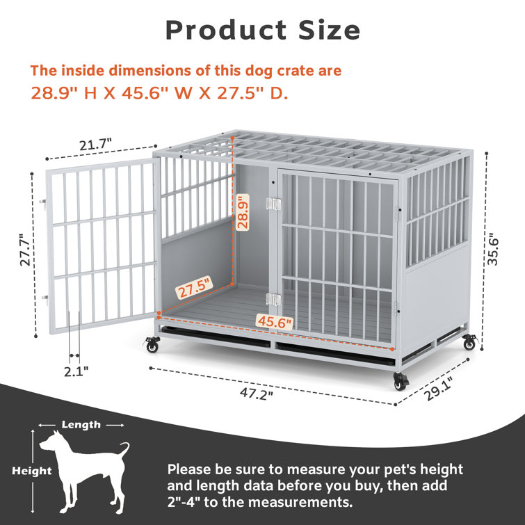 Large wire shop dog crate dimensions